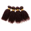 Afro Kinky Bourgogne brasilianska mänskliga jungfruliga hårbuntar Afro Kinky Curly Oprocesss Wine Red Hair Extensions 3st Lot Bourgogne Hai3654169