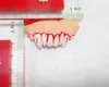 Halloween Dentier Stephen King's It Funny Tricks Party Property Game Toy Halloween Dentier False Rotten Teeth Model Prank Hoax Toys 2017