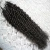 Micro Loop Human Hair Remy Naturfärg Curly Micro Loop Hårförlängningar 100g Brasiliansk Kinky Curly Micro Hair Extension