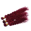 Burgundy bakire brezilya insan saç örgüsü 3pcs sıkı derin kıvırcık şarap kızıl saç örgüsü 99J Kinky Curl Saç Bundle5361379259820