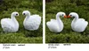 30pcs versenden ganz Cartoon Mini Swan Garden Miniatures Harzhand -Figur für Hochzeitsdekoration oder Heimtisch Gard6439623