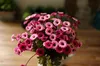 6stems / 24heads 5colors Vente En Gros Artificielle Helenium Rich Chrysanthème Fleur Fausse Soie Fleurs Bouquets Maison Jardin De Mariage Decorartion