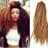 Capelli intrecciati sintetici mongoli 18 pollici Afro crespo ricci marley treccia capelli ricci estensione nave marley trecce all'uncinetto capelli e4097235