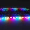 100 stks 12mm WS2811 led pixel module strings, IP68 waterdicht DC5V full color RGB 50 stks een string kerst LEDs licht Adresseerbaar nieuwe ws2801