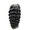 Brasilianische Jungfrau Hair Micro Loop Human Hair Extensions 1G 100 g Deep Wave 7A Micro Loop Brazilian Extensions5998680