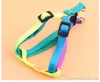 Adjustable Small Pet Dog Leash Harness Nylon Colorful Puppy Lead Leashes Walk Out Hand Strap Vest Collar For Dog Cat Rabbit