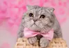 1000 teile/los Hundebekleidung Haustier Fliege Katze Krawatte Zubehör Kopfschmuck einstellbar mix 20 farben