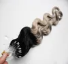 Silver Ombre Body Wave Micro Loop Hair Extensions 1g 100s T1b / Grey Rey Ombre Mänskliga Hår Mikro Ring Extensions