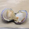Ovala akoya pärla oyster vit rosa lila 7-8mm naturlig pärla diy pärla lösa dekorationer smycken vakuumförpackning grossist