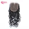 Brazilian Water Wave Human Hair Closure Brazilian Virgin Hair Bleached Knots Lace Closure 4x4 Hair Closure Can be dyed Free Shipping