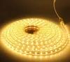 CE RoHS Illuminazione a LED AC 110 V 220-240 V Strisce LED ad alta tensione da 100 m 5050 Strisce LED impermeabili da 50 m + spina USA/UE 3333