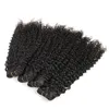 ブラジルの変態巻き巻き人間の髪3束安い変態な巻き毛織り束のグレード8aのバージンヘアエクステンションブラジルの巻き毛