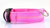 LED Dog Collars Riemen Nylon Pet Dog Collar Night Safety Light Flashing Glow in the Dark Small Dogs Pets Leash