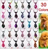 Heißer Verkauf Kostenloser versand hund haustier katze fliege krawatte kragen gemischte verschiedene farbe 120 stücke