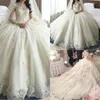 Court Train Vestidos Lace Wedding Dress Long Sleeves With Illusion Sheer Neck Back Covered Buttons Bridal Gowns