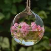 Terrarium Landscape Glass ransparent Ball Shape Clear Hanging Glass Vase Flower Plants Terrarium Container Micro DIY Wedding Home Decor