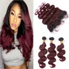 Vinröd Ombre Brasiliansk Virgin Human Hair Wefts Med Front Body Wave 1B / 99J Burgundy Ombre Lace Frontal Stängning 13x4 med buntar