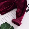 Baby Girl Clothes 2018 New Fashion Newborn Baby Girls Velvet Pleuche Wine Red Long Sleeve Crop Tops T-Shirt Children Clothing Autumn Winter