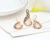 Vintage strass jóias de noiva nova moda rosa ouro opala cristal pavão colar brincos conjunto de jóias de casamento para women5009952