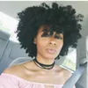 Kurze BOB peruanische verworrene lockige Afro-Perücken aus Echthaar für schwarze Frauen