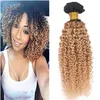 Kinky Curly Virgin Indian Honey Blonde Ombre Human Hair Weave Bundlar 3PCS Lot Två Tone 1B / 27 Ljusbrun Ombre Human Hair Extensions