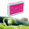 LED Grow Light 600 W 800W 1000W 1200W Pełny Spektrum Do Hydroponic Kryty Szklarnia Roślina Rosną Kwitnące Boże Narodzenie Zniżki CE Rohs ul