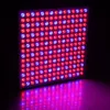 Multi Spectrum LED Grow Light for Plant blue and red Growth and Flowering 45w in 3 Bands Growing Combination