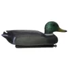 Partihandel-Slitstarkt fiskejakt Man Decoy Plast Duck Drake w / Floating Keel för utomhus Camping Tactical Accessorie1