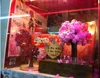 iwish 14x11cm البصرية 2017 الوردي كبير تنمو السحر اليابانية ساكورا شجرة شجرة زراعة سحرية الأشجار كيت سطح الكرز زهر عيد الميلاد 5 قطع