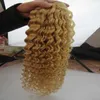Blond Brasilian Hair Kinky Curly 100g 1pcs 613 Blek blond brasilianskt hår vävbuntar 1pc Remy Hair Weaving