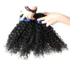 100% Kinky Curly Virgin Hair Braziliaans Haar Weave Bundels Natuurlijke Black Kinky Krullend Maagdelijk Haar, Geen Geschedend, Tangle GRATIS