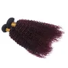 Kinky Curly Dwa Tone # 1B / 99J Wine Red Ombre Ludzkie Włosy Uwagi Hurtownia Dziewiczy Brazylijski Burgundia Ombre Human Włoski Wiązki 3 sztuk Lot