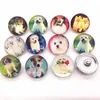 New arriver assorted Interchangeable 18mm snaps buttons Metral Charm Clasps Diy Ginger Snaps Jewelry