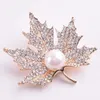 Vintage Rhinestone Brosch Pin Gold-Plate Alloy Pearl Leaf Smycken Broach Corsage för Bridal Bröllop Inbjudan Kostym Party Dress Pin Gift