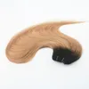 Teje Balayage Color #2 #6 #27 Color de moda tejido de cabello trama de cabello Remy extensión de cabello liso 100G por paquete en Stock