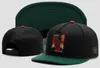 2017 neue cayler söhne gekennzeichnet us einstellbare snapbacks baseballmütze, günstige heiligen brooklyn wild style kappen hut, label Rasta Power Headwears