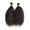 Bulks Mongolian Human Hair Kinky Straight 3pcs/lot Bulk Hair Extensions Human Hair Bundles No Weft FDSHINE