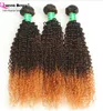# 1B / 4/30 Capelli ricci afro crespi a tre tonalità di colore Ombre Capelli vergini ricci crespi brasiliani intrecciati