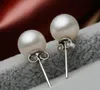 Kvinnliga örhängen Pearl Koreansk version av södra Kina Sea Shellfish Ear Ear Silver Örhängen Kvinnliga Modeller Örhängen