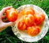 100 stücke Hohe Erträge Tigerella Seltene Tomatensamen Bonsai Bio-Gemüsefruchtsamen, Topfpflanze für Homegarden-Gewächshaus-Ernte