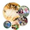 Nuovo caldo 3 pezzi/set! utensili manuali kit da giardinaggio ferramentas bonsai Pala di ferro rastrello pala ripper attrezzi da scavo da giardino