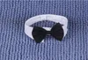 Cavalheiro Dog Bow Ties Pet Bow ties Cat Dog Gravatas Ajustáveis ​​Bow Borboleta Gravata Colar G473