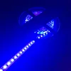 防水LEDストリップ300 LED 5M 2835暖かい白の白い白い赤い黄緑色の青い光ストリップ+ 12V2A電源アダプタEU US AUプラグ+ DCプラグ