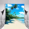 Summer Holiday Beach Wedding Photography Background for Studio White Cloud Blue Sky Seawater Green Trees Nature Scenic Photo Backdrops