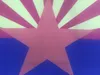Custom Wholesale 90 * 150cm 3x5ft 100d Polyester Flagga Lågt pris USA Amerika Alla stater US State Arizona Officiell banner