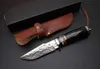 Handgjorda Damaskus Fixat Blad Knife Wood Handle Outdoor Camping Hunting Survival Fick Knife Militär Utility EDC Läderfodral Collection