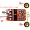 Freeshipping 100W 12V ~ 24V TPA3116D2 DUALSE KANAAL DIGITALE AUDIO-versterker Board voor Arduino High Efficiency Audio-versterker