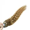 Бразильские волосы девственницы, медовые блондинки микро-петли человеческие волосы наращивания волос Rubio 27 100G kinky Curly Micro Loop Extensions