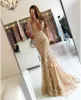 Evening Dresses Wear 2017 New Sexy Illusion Half Sleeves Champagne Lace Appliques Prom Dress Mermaid Backless Sweep Train Formal Party Gowns