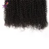 2017 Ny ankomst mänskliga hårförlängningar brasilianska jungfruliga hår 3 buntar Brasilianska Virgin Hair Afro Kinky Curly Wave kan färgas